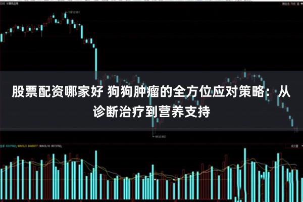 股票配资哪家好 狗狗肿瘤的全方位应对策略：从诊断治疗到营养支持